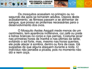 Os mosquitos acasalam no primeiro ou no segundo dia após se tornarem adultos. Depois deste acasalamento, as fêmeas passam a se alimentar de sangue, que possui as proteínas necessárias para o desenvolvimento dos ovos.  O Mosquito Aedes Aegypti mede menos de um centímetro, tem aparência inofensiva, cor café ou preta e listras brancas no corpo e nas pernas. Costuma picar nas primeiras horas da manhã e nas últimas da tarde, evitando o sol forte, mas, mesmo nas horas quentes, ele pode atacar à sombra, dentro ou fora de casa. Há suspeitas de que alguns ataquem durante a noite. O indivíduo não percebe a picada, pois no momento não dói e nem coça. 
