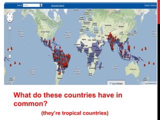 What do these countries have in
common?
       (they’re tropical countries)
 