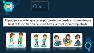 Clínica
El paciente con dengue cursa por 3 estadios desde el momento que
finaliza la incubación del virus hasta la resolución completa del
cuadro.
 