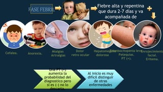 FASE FEBRIL
Fiebre alta y repentina
que dura 2-7 días y va
acompañada de
Una PT (+)
aumenta la
probabilidad del
diagnostico pero
si es (-) no lo
descarta.
Al inicio es muy
difícil distinguir
de otras
enfermedades
 