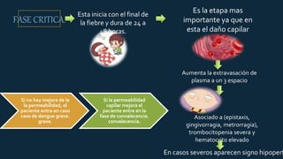 FASE CRITICA.
Esta inicia con el final de
la fiebre y dura de 24 a
48 horas.
Es la etapa mas
importante ya que en
esta el daño capilar
inicia.
Aumenta la extravasación de
plasma a un 3 espacio
Asociado a (epistaxis,
gingivorragia, metrorragia),
trombocitopenia severa y
hematocrito elevado
En casos severos aparecen signo hipoperf
Si no hay mejora de la
la permeabilidad, el
paciente entra en caso
caso de dengue grave.
grave.
Si la permeabilidad
capilar mejora el
paciente entre en la
fase de convalecencia.
convalecencia.
 