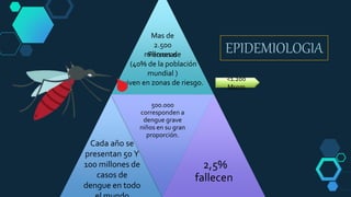 500.000
corresponden a
dengue grave
niños en su gran
proporción.
2,5%
fallecen
Mas de
2.500
millones dePersonas
(40% de la población
mundial )
viven en zonas de riesgo.
Cada año se
presentan 50 Y
100 millones de
casos de
dengue en todo
EPIDEMIOLOGIA
<1.200
Msnm
 