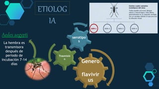 Genero
flavivir
us
Trasmisió
n
serotipo
sLa hembra es
transmisora
después de
periodo de
incubación 7-14
días
Aedes aegypti
ETIOLOG
IA
 