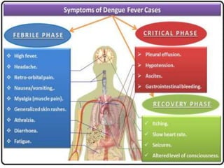 Kuldeep Vyas M.Sc. CHN
25
 