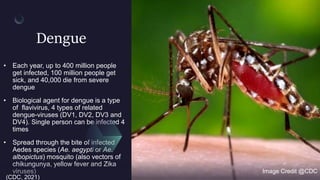 Dengue
• Each year, up to 400 million people
get infected, 100 million people get
sick, and 40,000 die from severe
dengue
• Biological agent for dengue is a type
of flavivirus, 4 types of related
dengue-viruses (DV1, DV2, DV3 and
DV4). Single person can be infected 4
times
• Spread through the bite of infected
Aedes species (Ae. aegypti or Ae.
albopictus) mosquito (also vectors of
chikungunya, yellow fever and Zika
viruses) Image Credit @CDC
(CDC, 2021)
 