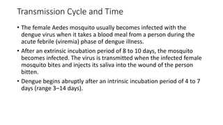 Transmission Cycle and Time
• The female Aedes mosquito usually becomes infected with the
dengue virus when it takes a blood meal from a person during the
acute febrile (viremia) phase of dengue illness.
• After an extrinsic incubation period of 8 to 10 days, the mosquito
becomes infected. The virus is transmitted when the infected female
mosquito bites and injects its saliva into the wound of the person
bitten.
• Dengue begins abruptly after an intrinsic incubation period of 4 to 7
days (range 3–14 days).
 