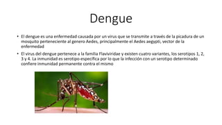 Dengue
• El dengue es una enfermedad causada por un virus que se transmite a través de la picadura de un
mosquito perteneciente al genero Aedes, principalmente el Aedes aegypti, vector de la
enfermedad
• El virus del dengue pertenece a la familia Flaviviridae y existen cuatro variantes, los serotipos 1, 2,
3 y 4. La inmunidad es serotipo-específica por lo que la infección con un serotipo determinado
confiere inmunidad permanente contra el mismo
 