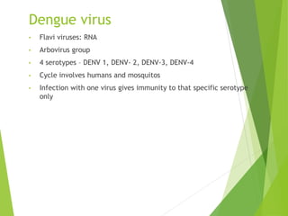 Dengue virus
• Flavi viruses: RNA
• Arbovirus group
• 4 serotypes – DENV 1, DENV- 2, DENV-3, DENV-4
• Cycle involves human...