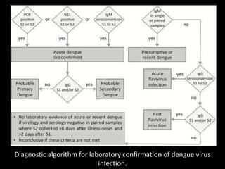 DENGUE.pptx
