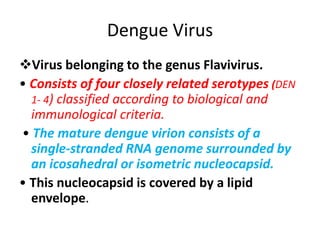 Dengue Virus
Virus belonging to the genus Flavivirus.
• Consists of four closely related serotypes (DEN
1- 4) classified according to biological and
immunological criteria.
• The mature dengue virion consists of a
single-stranded RNA genome surrounded by
an icosahedral or isometric nucleocapsid.
• This nucleocapsid is covered by a lipid
envelope.
 
