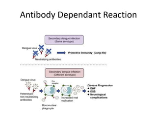 Antibody Dependant Reaction
 