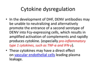 Cytokine dysregulation
• In the development of DHF, DENV antibodies may
be unable to neutralizing and alternatively
promote the entrance of a second serotype of
DENV into Fcγ-expressing cells, which results in
amplified activation of complements and rapidly
produces cytokine. (especially pro-inflammatory
type 1 cytokines, such as TNF-α and IFN-γ).
• These cytokines may have a direct effect
on vascular endothelial cells leading plasma
leakage.
 