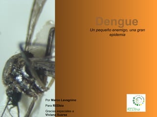Dengue Un pequeño enemigo, una gran epidemia Por  Marco Lavagnino Para  REDbia Gracias especiales a  Viviana Suarez 