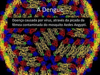 A Dengue
Doença causada por vírus, através da picada da
fêmea contaminada do mosquito Aedes Aegypti.
 
