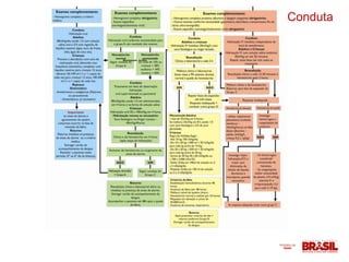 Conduta
 