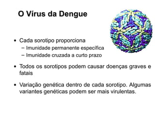 O Vírus da Dengue


• Cada sorotipo proporciona
  – Imunidade permanente específica
  – Imunidade cruzada a curto prazo

• Todos os sorotipos podem causar doenças graves e
  fatais

• Variação genética dentro de cada sorotipo. Algumas
  variantes genéticas podem ser mais virulentas.
 