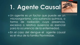 1. Agente Causal
 Un agente es un factor que puede ser un
microorganismo, una sustancia química, o
forma de radiación cuya presencia,
excesiva o relativa ausencia es esencial
para la ocurrencia de la enfermedad.
 En el caso del dengue el agente causal
es el virus de la familia Flaviviridae.
 