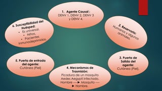 3. Puerta de
Salida del
agente:
Cutánea (Piel).4. Mecanismos de
Trasmisión:
Picadura de un mosquito
Aedes Aegypti infectado.
Hombre ----► Mosquito ----
► Hombre.
5. Puerta de entrada
del agente:
Cutánea (Piel)
1. Agente Causal :
DENV 1, DENV 2, DENV 3
y DENV 4.
 