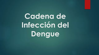 Cadena de
Infección del
Dengue
 