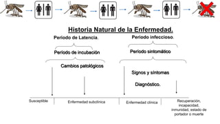 Historia Natural de la Enfermedad.
Periodo de Latencia. Período infeccioso.
Período de incubación Período sintomático
Exposición Cambios patológicos
Signos y síntomas
Diagnóstico.
Susceptible Enfermedad subclínica Enfermedad clínica Recuperación,
incapacidad,
inmunidad, estado de
portador o muerte
 