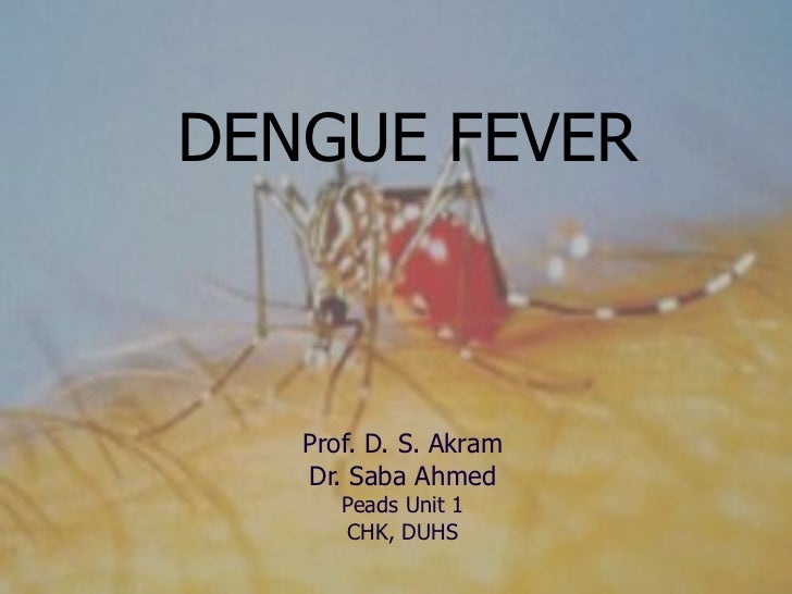 bibliography dengue fever bibliography dengue fever
