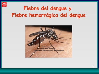 Fiebre del dengue y  Fiebre hemorrágica del dengue 