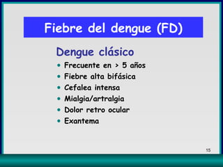 Fiebre del dengue (FD) Dengue clásico Frecuente en  >  5 años Fiebre alta bifásica Cefalea intensa Mialgia/artralgia Dolor retro ocular Exantema 