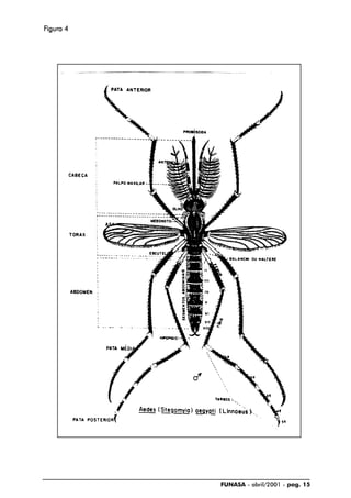 FUNASA - abril/2001 - pag. 15
FFFFFigura 4igura 4igura 4igura 4igura 4
 