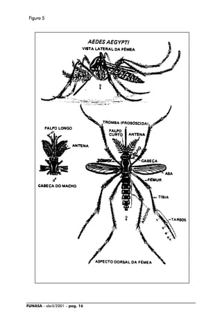 FUNASA - abril/2001 - pag. 16
FFFFFigura 5igura 5igura 5igura 5igura 5
 