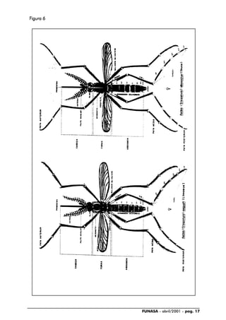 FUNASA - abril/2001 - pag. 17
FFFFFigura 6igura 6igura 6igura 6igura 6
 