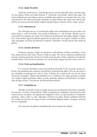 FUNASA - abril/2001 - pag. 19
2.4.3. Aedes fluviatilis
Colorido pardo escuro. Caracteriza-se por mancha dourada clara na parte supe-
rior da cabeça. Patas com anéis brancos. É raramente encontrado dentro das casas. Os
locais preferenciais para desova são as cavidades das pedras e as margens dos rios, mas,
recentemente, tem sido encontrado ovipondo na parte externa das casas nos mesmos de-
pósitos em que se encontra Aedes aegypti (caixas d’água, tanques, barris, tonéis, pneus).
2.4.4. Mansonia sp
De coloração escura, é caracterizado pelas asas aveludadas e escuras; patas com
anéis claros e anel na tromba. Sua picada é dolorosa e o vôo é longo. Quase nunca é
encontrado em repouso nas casas. Os criadouros de Mansonia são lagos, lagoas e alaga-
dos, onde existam algumas plantas aquáticas em particular, como goivo, bodocó ou baro-
nesa (aguapés). As larvas do Mansonia respiram utilizando o tecido poroso das raízes da
planta.
2.4.5. Limatus durhamii
Mosquito pequeno, frágil, de aparência multicolorida, tromba comprida e muito
fina, patas escuras, sem anéis. Nunca invade as casas. Tem como criadouros preferenciais
árvores e plantas (gravatás, bambus) e ainda cacos de vidro e latas, existentes no ambiente
extradomiciliar. Suas larvas se parecem com as do Aedes aegypti quando vistas a olho nu.
2.4.6. Culex quinquefasciatus
É o mosquito doméstico mais comumente encontrado. É de cor parda, quase uni-
forme, não apresentando qualquer característica importante de relevo. Pica ao escurecer e
sua atividade se prolonga por toda a noite. A fêmea faz a postura de uma só vez (ovos
formando “jangada”). Desova de preferência em criadouros com água parada e poluída
com matéria orgânica (fossas, valas e outros), podendo desovar eventualmente em depó-
sitos de água limpa. É transmissor da filariose bancroftiana.
2.4.7. Anopheles sp
Também chamado mosquito prego porque pousa perpendicularmente na parede.
As asas têm manchas características. Todas as espécies do subgênero Nyssorhynchus têm
anéis brancos nas patas. As espécies do subgênero Cellia, ao qual pertence o Anopheles
gambiae, vistas a olho nu, têm coloração uniforme nas patas. Desova preferencialmente
em criadouros naturais com água limpa e sombreada (lagoas, brejos, córregos, remanso
de rios e igarapés).
Os mosquitos do gênero Anopheles são transmissores da malária.
 