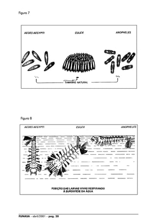 FUNASA - abril/2001 - pag. 20
FFFFFigura 7igura 7igura 7igura 7igura 7
FFFFFigura 8igura 8igura 8igura 8igura 8
 