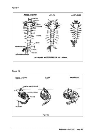 FUNASA - abril/2001 - pag. 21
FFFFFigura 9igura 9igura 9igura 9igura 9
FFFFFigura 10igura 10igura 10igura 10igura 10
 
