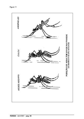 FUNASA - abril/2001 - pag. 22
FFFFFigura 11igura 11igura 11igura 11igura 11
 