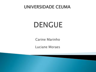 Carine Marinho
Luciane Moraes
UNIVERSIDADE CEUMA
 