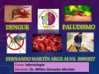 DENGUE
FERNANDO MARTÍN ARCE ALVA 20092177
Curso: Infectología
Docente: Dr. Miltón Gonzales Mechán
PALUDISMO
 