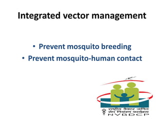 Integrated vector management
• Prevent mosquito breeding
• Prevent mosquito-human contact
 