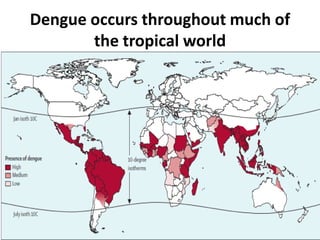 Dengue occurs throughout much of
the tropical world
 