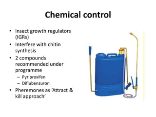 Chemical control
• Insect growth regulators
(IGRs)
• Interfere with chitin
synthesis
• 2 compounds
recommended under
programme
– Pyriproxifen
– Diflubenzuron
• Pheremones as ‘Attract &
kill approach’
 