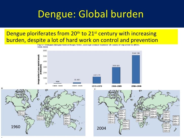 Dengue Seminar September 2011