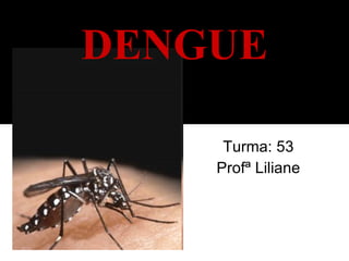 Turma: 53 Profª Liliane DENGUE 