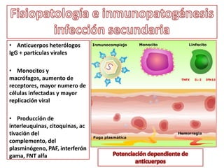 Epidemiologia del dengue en el mundoEnfermedad viral transmitida por mosquitos de mas rápida expansión