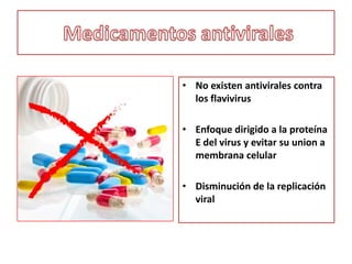Anticuerpos homólogos contra el mismo serotipo, inmunidad de por vida