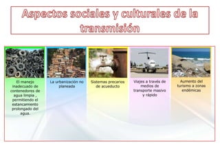 2002 Nueva epidemia con 1.015.420