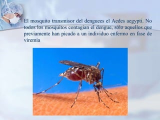    El mosquito transmisor del denguees el Aedes aegypti. No
    todos los mosquitos contagian el dengue, sólo aquellos que
    previamente han picado a un individuo enfermo en fase de
    viremia
 