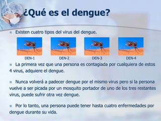¿Qué es el dengue?
   Existen cuatro tipos del virus del dengue.




        DEN-1             DEN-2            DEN-3          DEN-4
  La primera vez que una persona es contagiada por cualquiera de estos
4 virus, adquiere el dengue.

  Nunca volverá a padecer dengue por el mismo virus pero si la persona
vuelve a ser picada por un mosquito portador de uno de los tres restantes
virus, puede sufrir otra vez dengue.

 Por lo tanto, una persona puede tener hasta cuatro enfermedades por
dengue durante su vida.
 
