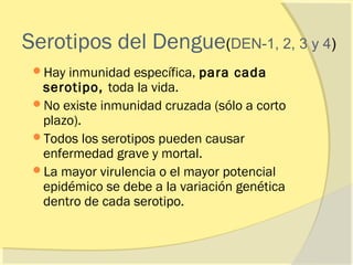 Serotipos del Dengue(DEN-1, 2, 3 y 4)
 Hay inmunidad específica, para cada
  serotipo, toda la vida.
 No existe inmunidad cruzada (sólo a corto
  plazo).
 Todos los serotipos pueden causar
  enfermedad grave y mortal.
 La mayor virulencia o el mayor potencial
  epidémico se debe a la variación genética
  dentro de cada serotipo.
 