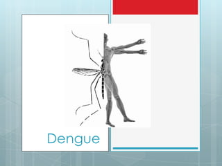 Dengue

 