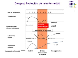 1 2 3 4 5 6 7 8 9
40
Viremia
Etapas de la enfermedad Febril Crítica Recuperación
Choque
Hemorragias
Reabsorción
Sobrecarga
de líquidos
Deshidratación
Alteración de órganos
Días de enfermedad
Temperatura
Manifestaciones
clínicas potenciales
Laboratorio
clínico
Serología y
virología
Plaquetas
Hematocrito
Extravasación
de Plasma
Ac IgM
Dengue: Evolución de la enfermedad
 