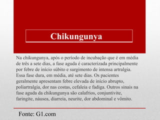 Na chikungunya, após o período de incubação que é em média
de três a sete dias, a fase aguda é caracterizada principalmente
por febre de início súbito e surgimento de intensa artralgia.
Essa fase dura, em média, até sete dias. Os pacientes
geralmente apresentam febre elevada de início abrupto,
poliartralgia, dor nas costas, cefaleia e fadiga. Outros sinais na
fase aguda da chikungunya são calafrios, conjuntivite,
faringite, náusea, diarreia, neurite, dor abdominal e vômito.
Chikungunya
Fonte: G1.com
 